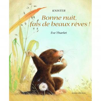 BONNE NUIT FAIS DE BEAUX REVES (ALBUMS)