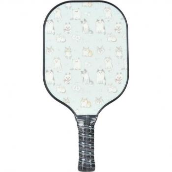 Portable Elastic Pickleball Paddle