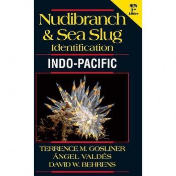 Nudibranch and Sea Slug Identification
