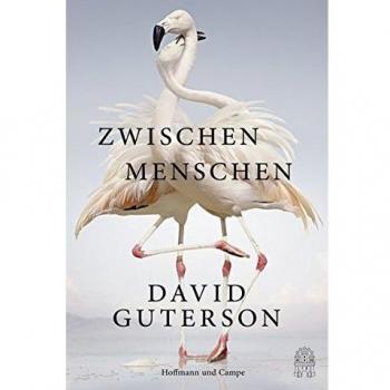 Zwischen Menschen: Erzählungen