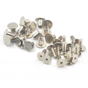 Tornillos de Fijación 10mm – Set de 10 piezas