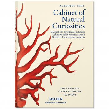Albertus Seba. Cabinet of natural curiosities. Ediz. italiana, spagnola e portoghese