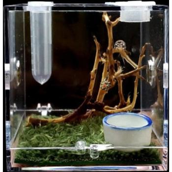 Small Reptile Feeding Cage