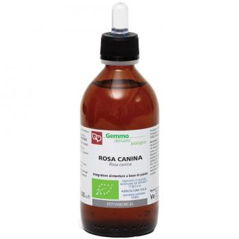 Rosa Canina Estratto Glicerico 200ml