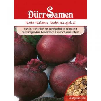 Rote Rüben Saatgut 0057