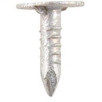 Silver‑Coated Extra Large Head Clout Nails, 30 mm × 3 mm, Galvanized – Timco
