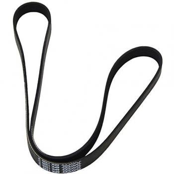 Dayco V-Ribbed Belt 6PK1320