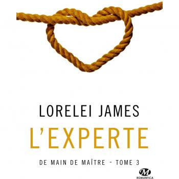 De main de maître, Tome 3 : L'experte