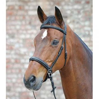 Waldhausen STAR Bitless Bridle, Long Version