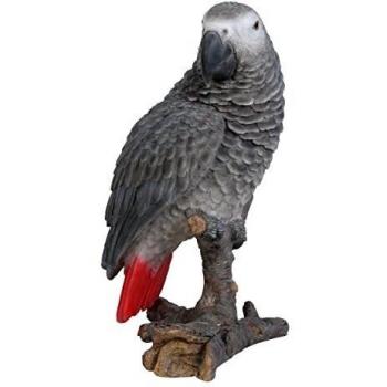 African Parrot Resin Art by Vivid Arts