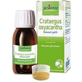 CRATAEGUS OXY BOI MG 60ML INT
