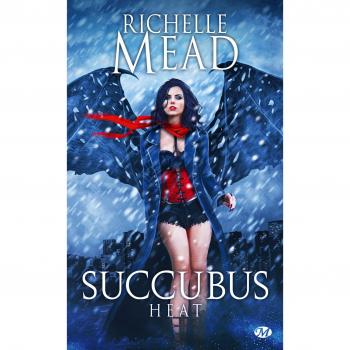 Succubus, Tome 4 : Succubus Heat