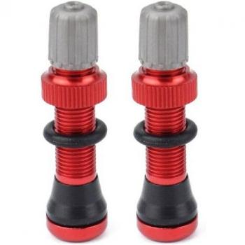 Válvula de Bicicleta MTB 40mm Sin Cámara Schrader