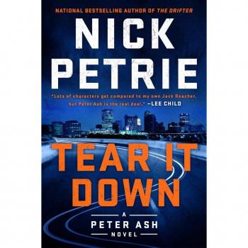 Tear It Down (Peter Ash Series #4)