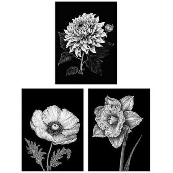 Black & White Spring Flower Art Bundle