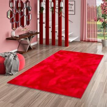 Tapis Rouge Antidérapant et Lavable 140 x 200 cm