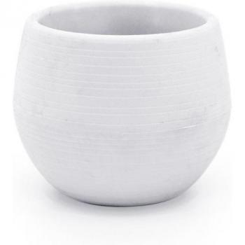 Set de 1 Mini Maceta para Interiores, Jardines y Oficina