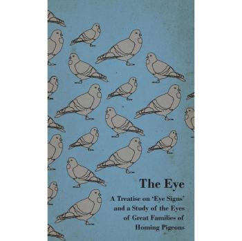 The Eye