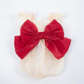 Chihuahua Yorkie Wedding Dress