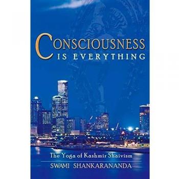 Consciousness is Everything
