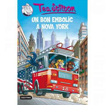 UN BON EMBOLIC A NOVA YORK