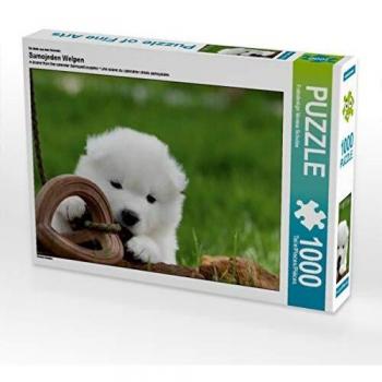 Samojede Welpen Puzzle 1000 Teile – Foto von Verena Scholze – 64x48 cm