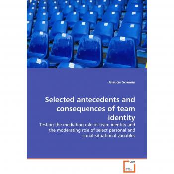 Selected antecedents and consequences of team identity