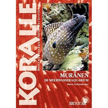 Muränen im Meerwasseraquarium: Die Gattungen Echidna, Gymnomuraena und andere