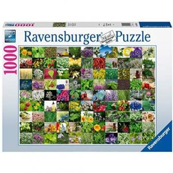 Puzzle 15991-99 Herbes & Épices