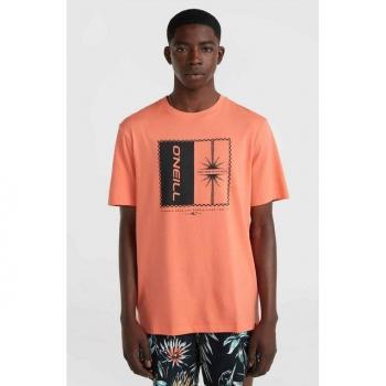 O’Neill Coral S t-shirt corto mix & match palm