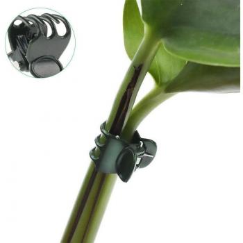 100 Pcs Plant Grafting Clips