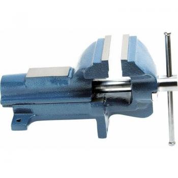 Tornillo de banco Fervi 0427/125