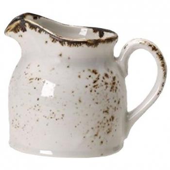 Ceramic Steelite Jug