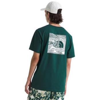 T-Shirt The North Face Da Uomo Verde Redbox Celebration