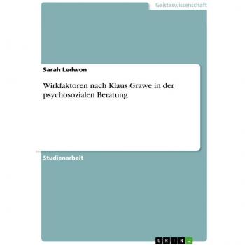 Wirkfaktoren nach Klaus Grawe in der psychosozialen Beratung