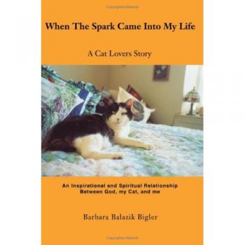 When The Spark Came Into My Life
