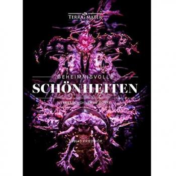 Geheimnisvolle Schönheiten