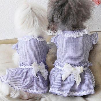Moda Animalica De Verano