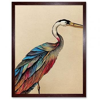 Detailed Plumage Rainbow Heron Bird Wall Art Print Framed