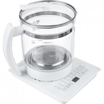 EauSaine 1.8L Cuiseur de Thé et Soupe en Verre