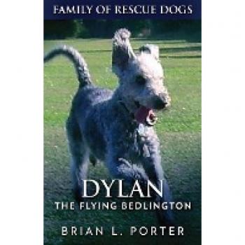 Dylan
