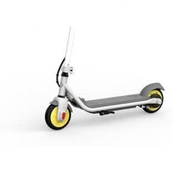Ninebot by Segway Zing C10 Trottinette électrique Gris/Jaune