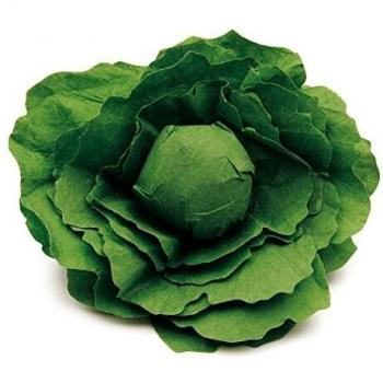 Jouet Laitue, bois, dinette, Erzi, code produit : 12280, Couleurs variées, Dimensions : 12 x 4.2 cm