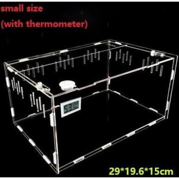 Enti's Acrylic Insect Terrarium
