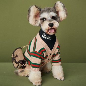 Bulldog Teddy Vest voor Honden
