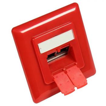 Piastra Centrale RAL3020 per Prese