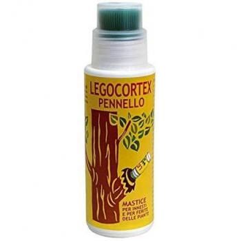 Kit de Masilla Legocortex 250 g con Pincel