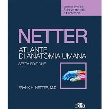 Netter. Atlante anatomia umana. Scienze motorie e fisioterapia