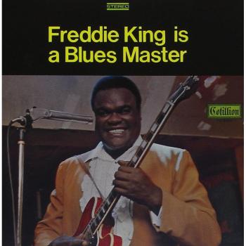 Freddie King Is A Blues Master Ps2