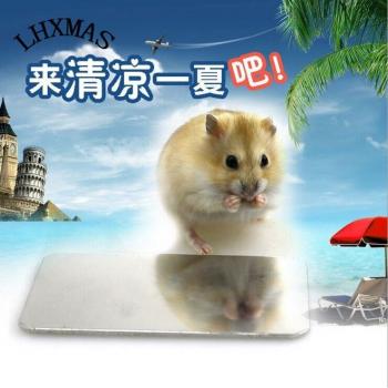 Small Animal Aluminum Play Platform for Chinchillas and Squirrels D263